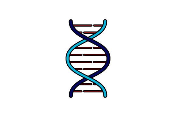DNA Premium Icon: A Designer's Honest Project Review